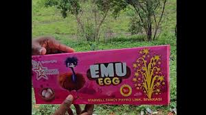 EUMO EGG EUMO EGG
